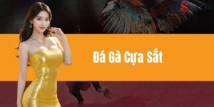 Đá gà cựa sắt