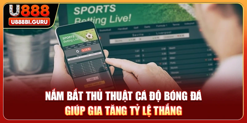 Nắm bắt thủ thuật cá độ bóng đá giúp gia tăng tỷ lệ thắng