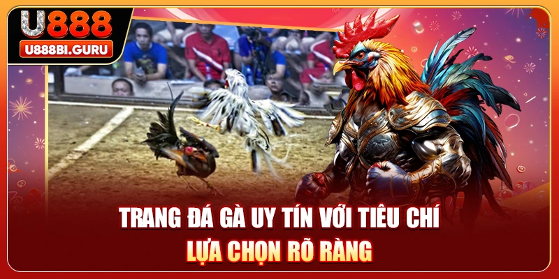 Trang đá gà uy tín với tiêu chí lựa chọn rõ ràng