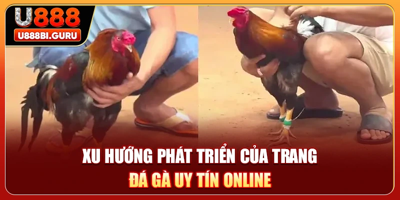 Xu hướng phát triển của trang đá gà uy tín online